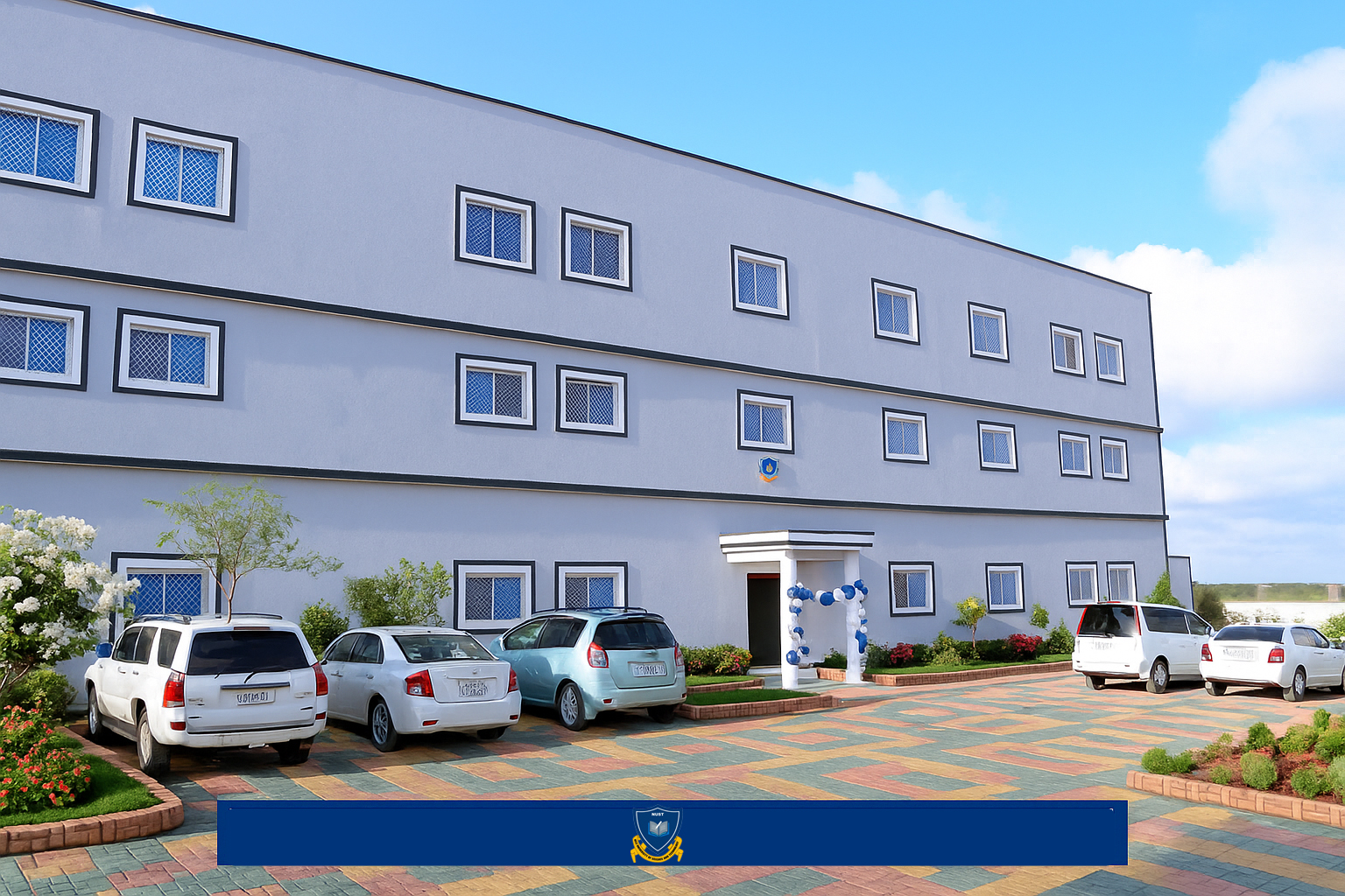 University System Background